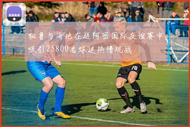 秘鲁与海地在迈阿密国际友谊赛中吸引25800名球迷热情观战